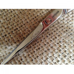 Jaguar CJ4 plus 5.5" Silver Line Master class scissor.